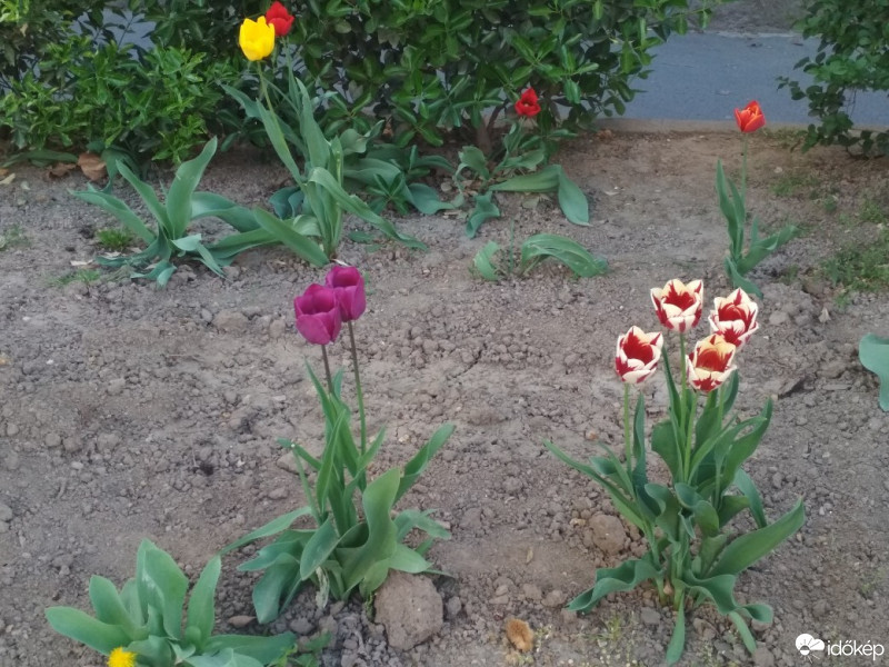 Budapest XII.ker - Krisztinaváros