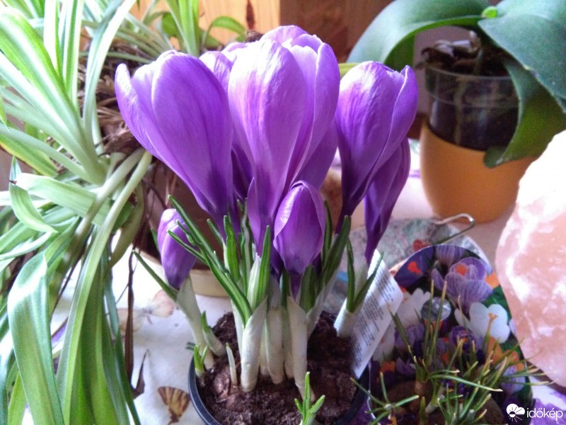 Budapest XII.ker - Krisztinaváros