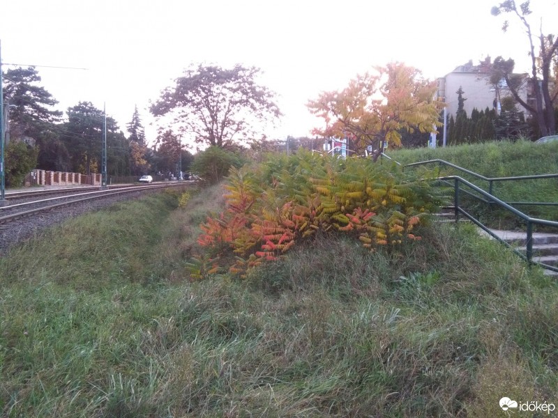 Budapest XII.ker - Németvölgy