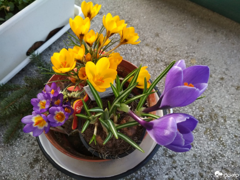 Budapest XII.ker - Krisztinaváros