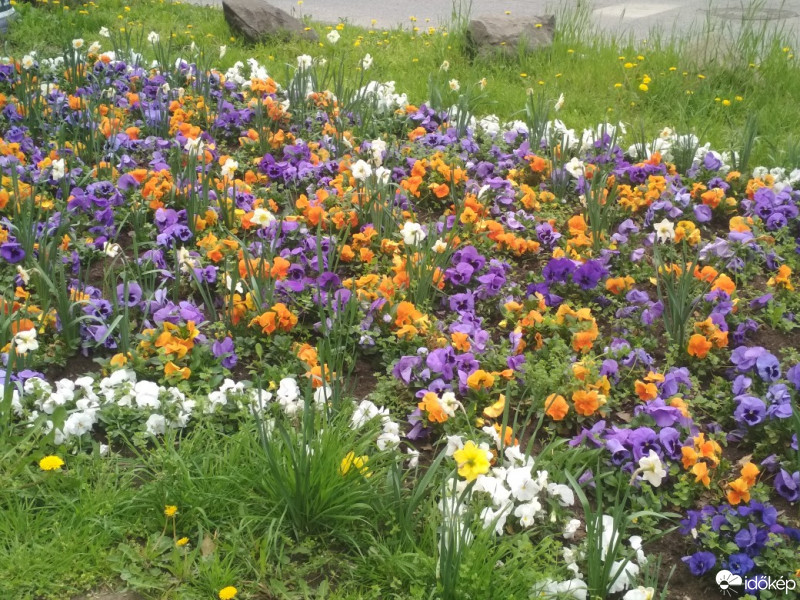 Budapest XII.ker - Krisztinaváros