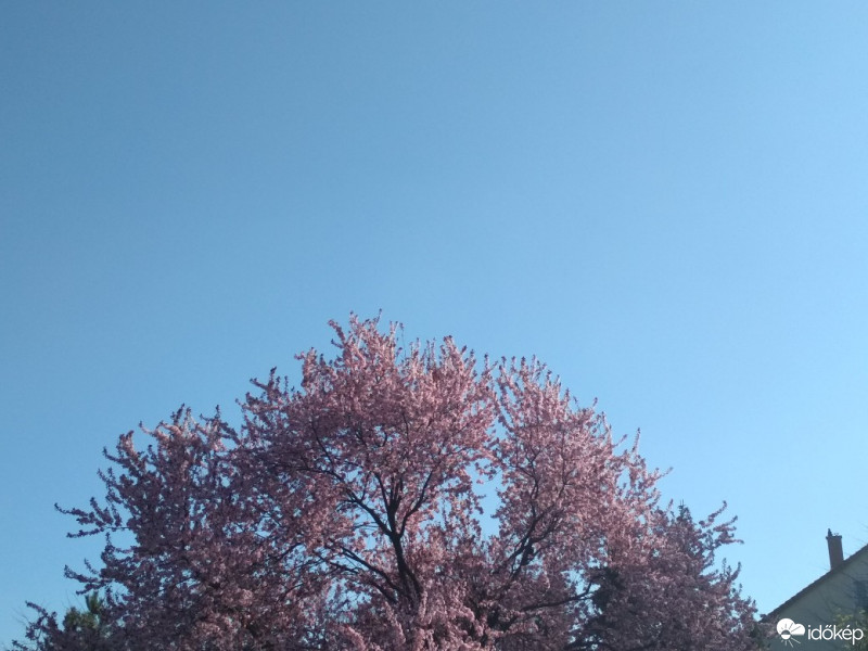 Budapest XII.ker - Istenhegy