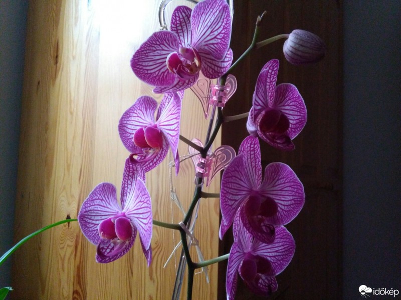 Budapest XII.ker - Krisztinaváros