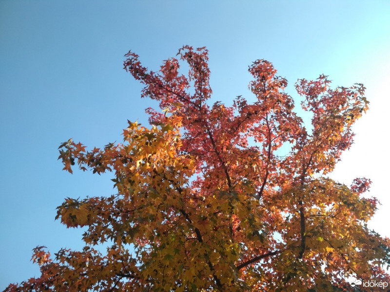 Budapest XII.ker - Krisztinaváros