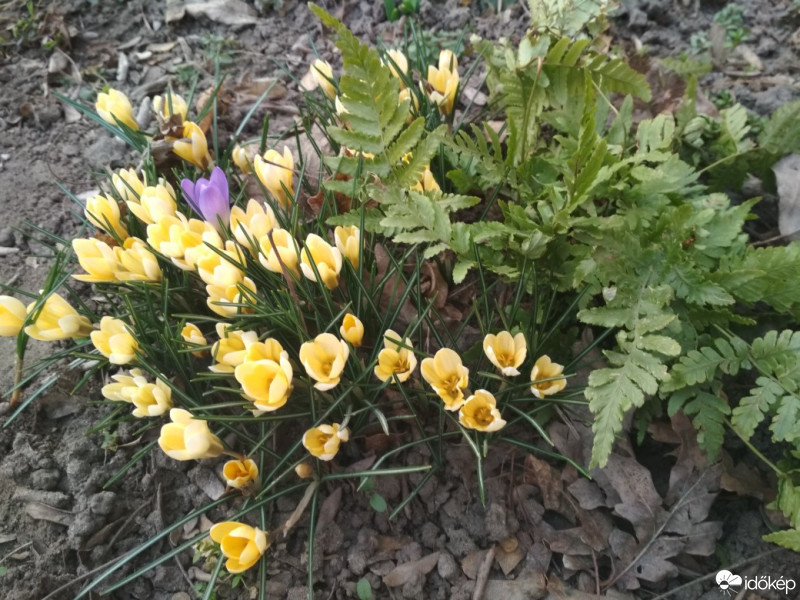 Budapest XII.ker - Krisztinaváros