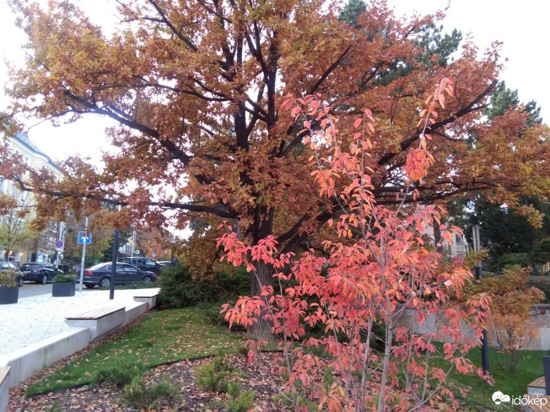 Budapest XII.ker - Németvölgy