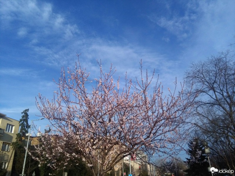 Budapest XII.ker - Istenhegy