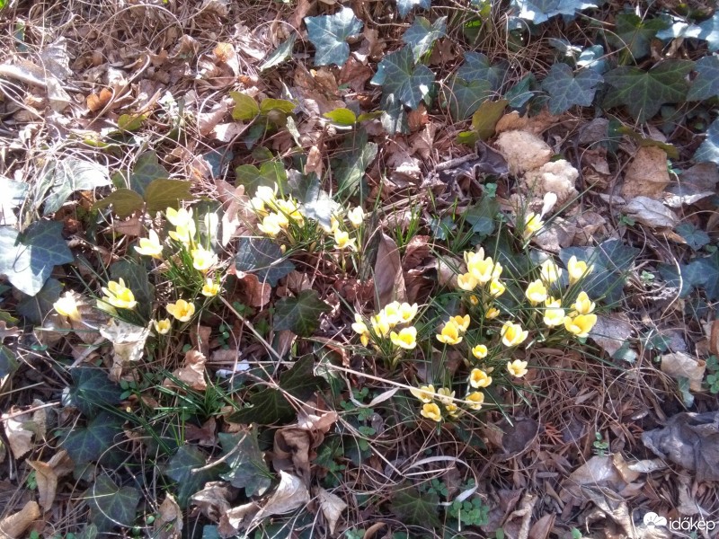 Budapest XII.ker - Krisztinaváros