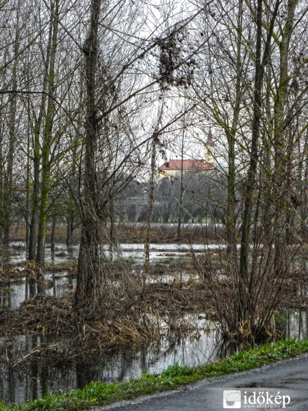 Belvíz