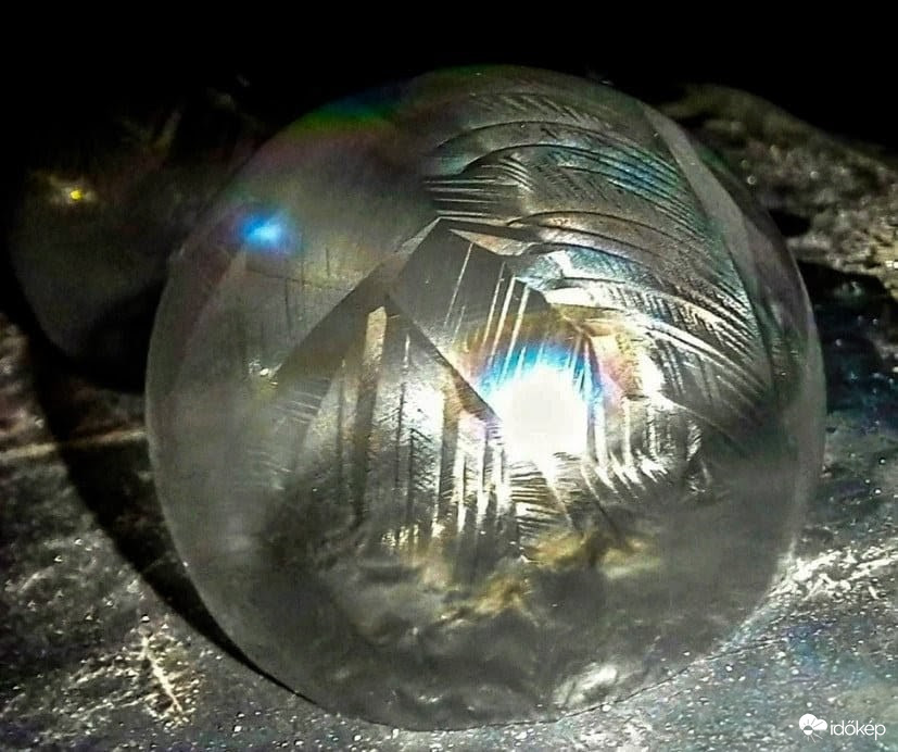 Jégbubi makro újrapróbálkozás