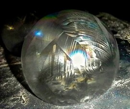 Jégbubi makro újrapróbálkozás