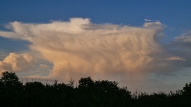 hoolibaba fotója