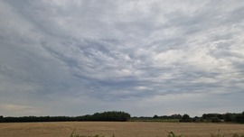 hoolibaba fotója