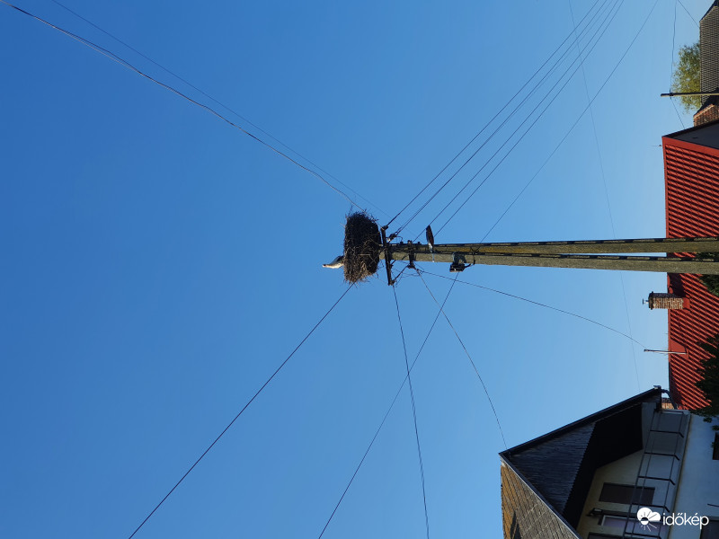 Nagylengyelbe is megérkezett az 1.gólya