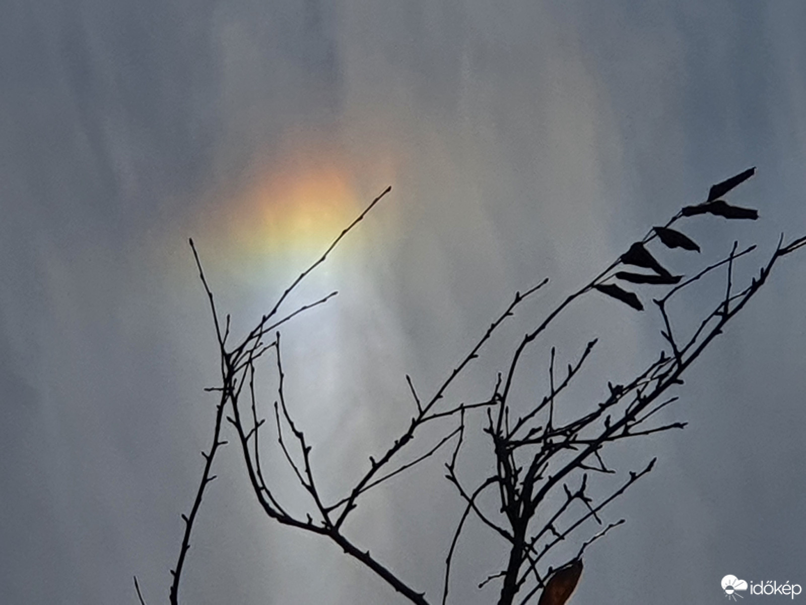 Ormándlaki délelőtt