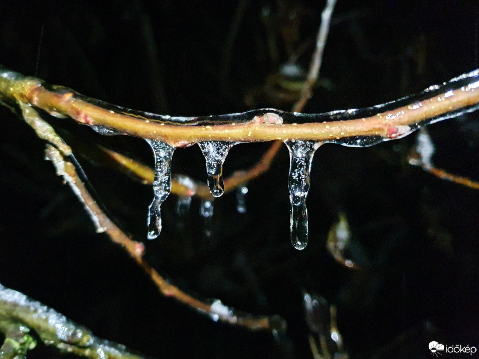 Kicsit lógtunk az almafán