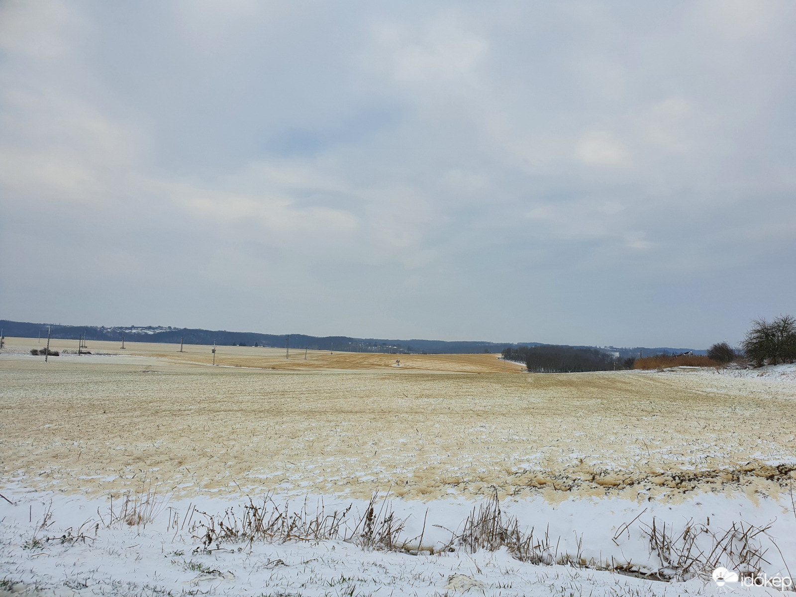 Ormándlakot is elérte a szaharai homok