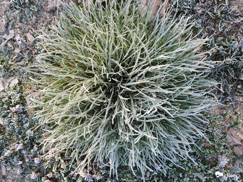 2021.04.07. reggel -5fok