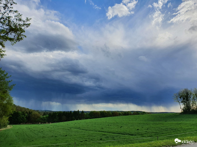 Így kezdődik egy "antikutyasétáltatós" este...