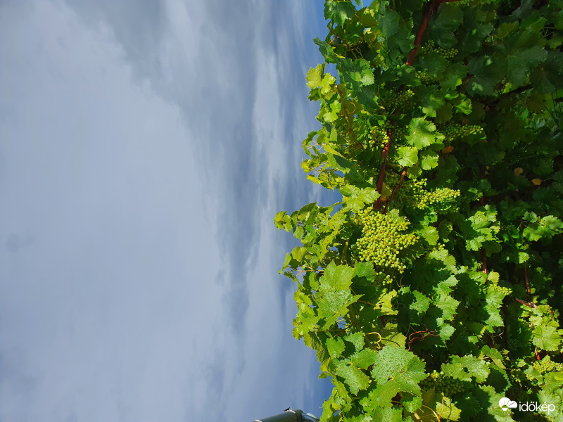 ...végre esett eső