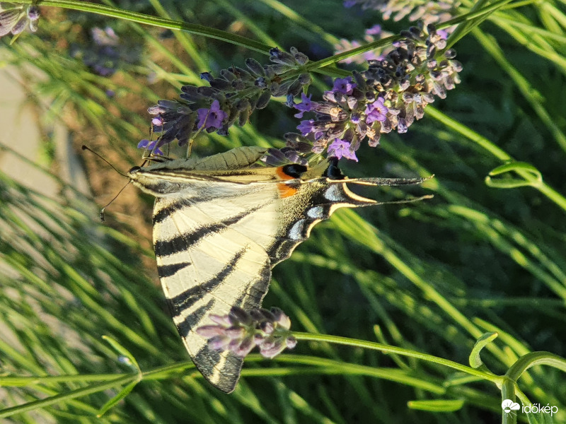Megunhatatlanul szééép... :)