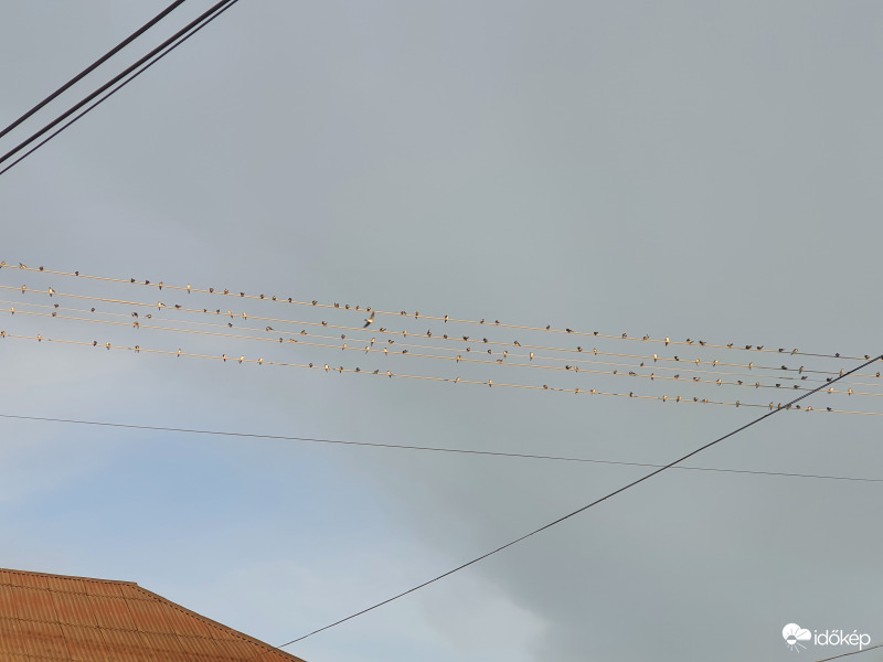 ...egyre többen gyülekeznek :(