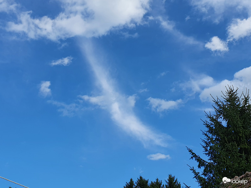 ...mintha madár szállna...