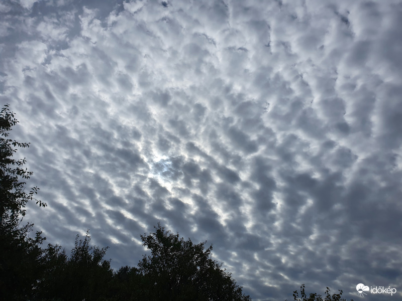 Nagylengyeli birkabunda