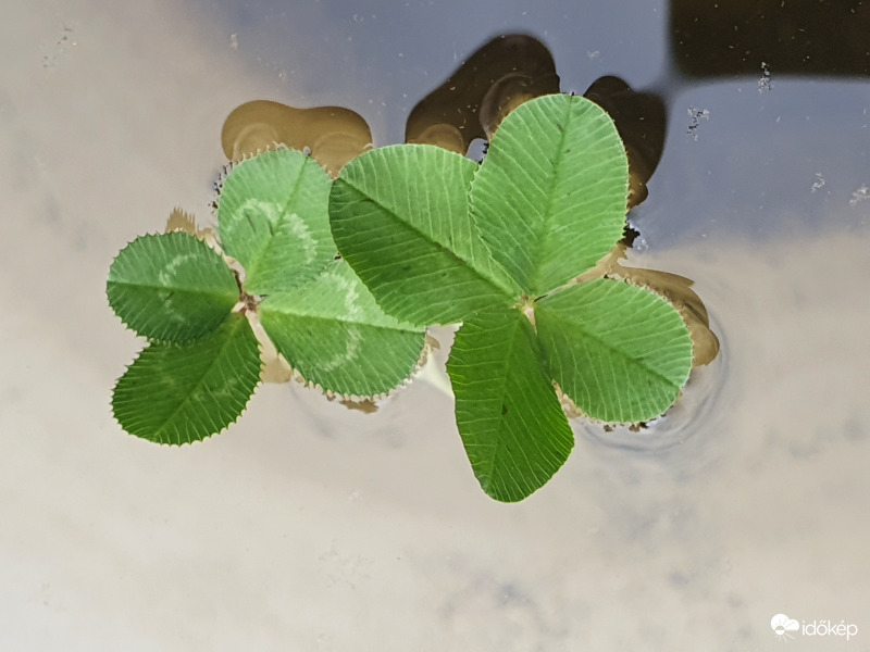 Szerencsés szombat...