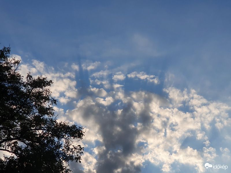 ...hétfő reggel...