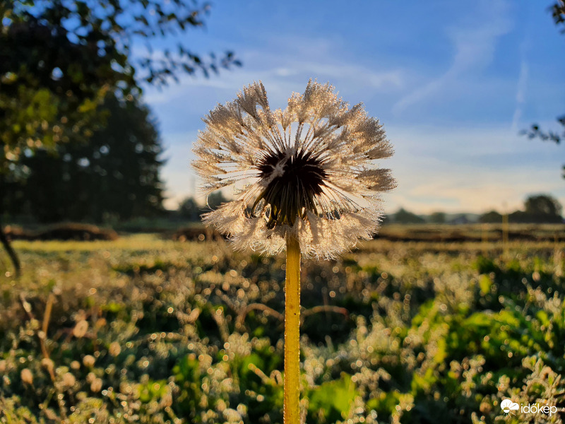 ...és így kezdődött az október
