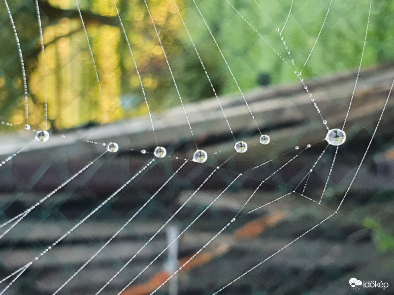 ...reggeli sorakozó