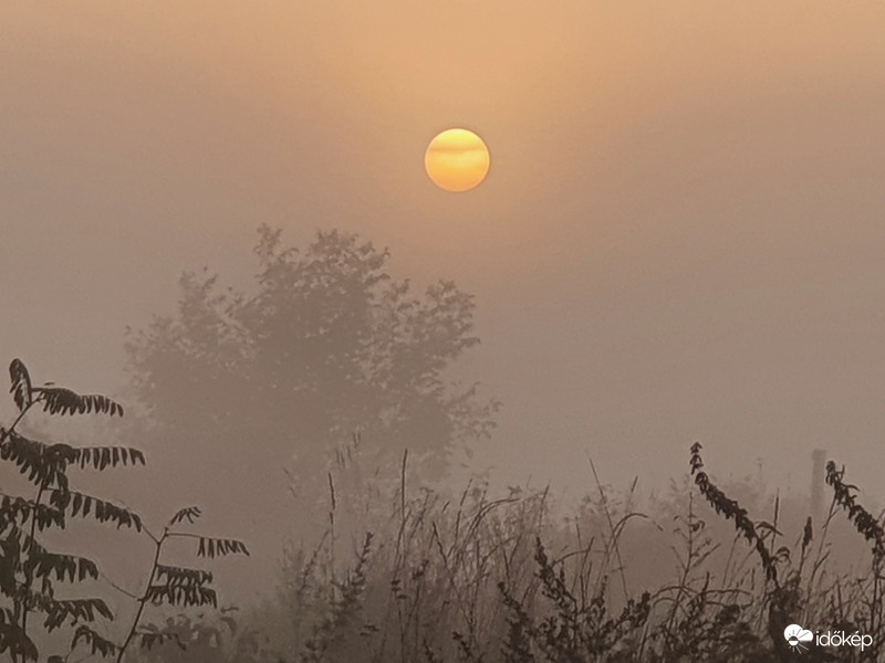 Reggeli ködös bújócska...
