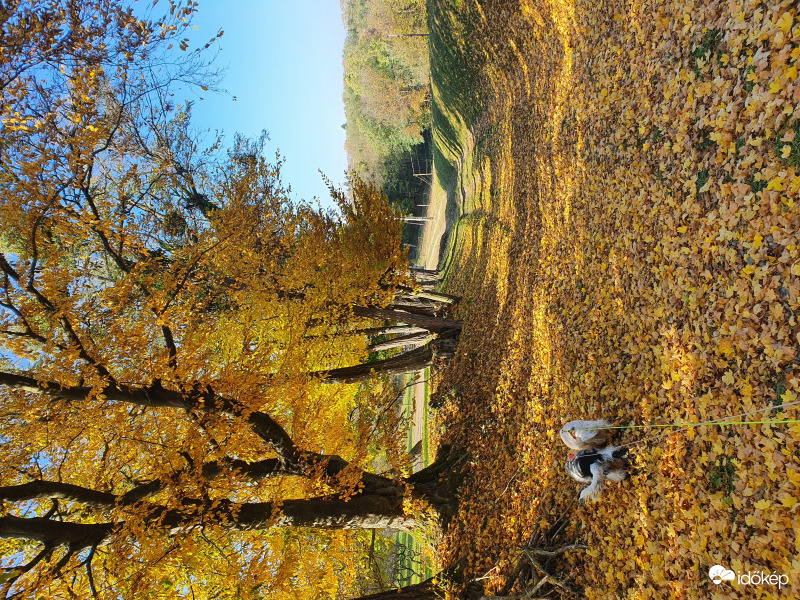 Utolsó októberi séta...