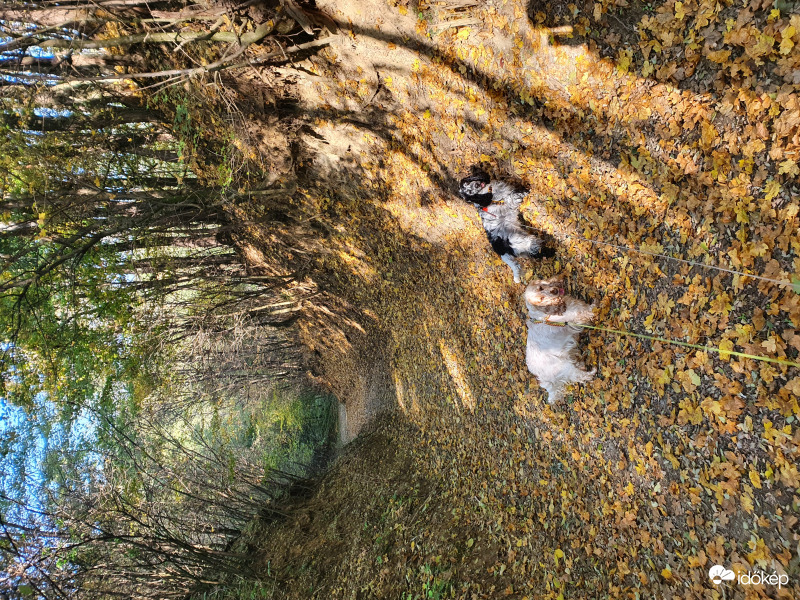 Ne menjünk tovább...itt még süt a nap...