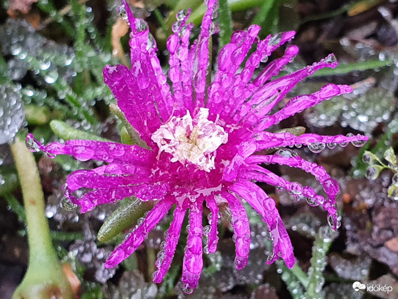 Ennyi szín jutott az egész napos szitáló ködben...