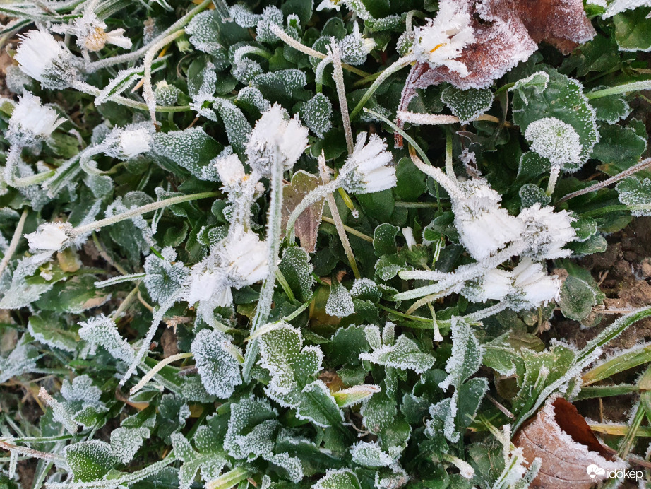 Didergős reggel... -5fok