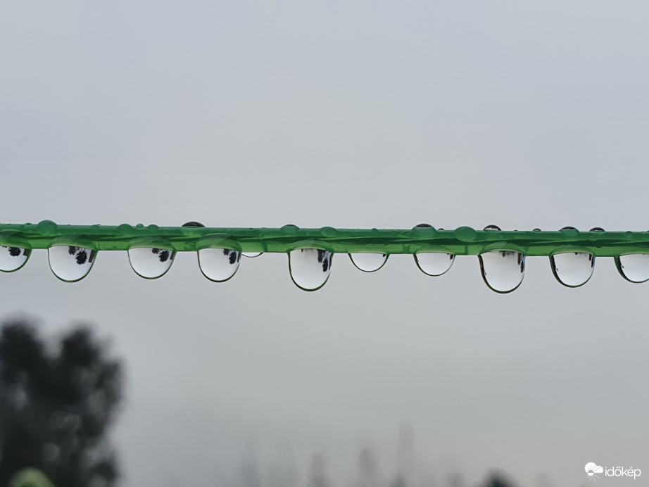 Szombat délelőtti sorakozó...