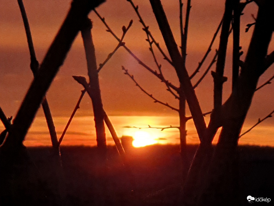 Keddi naplemente...túl a sövényen