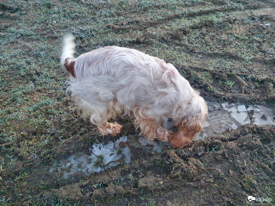 Bogi sem érti...kutya hideg van 