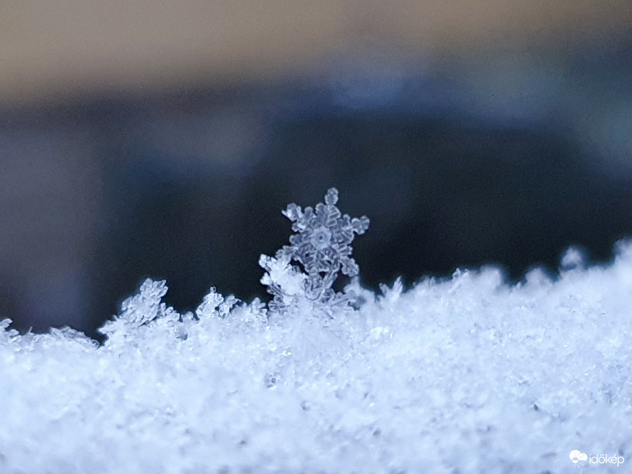 Hópihés hétfő reggelt :)