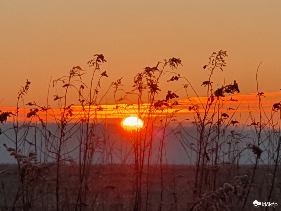 Csütörtököt mondok!