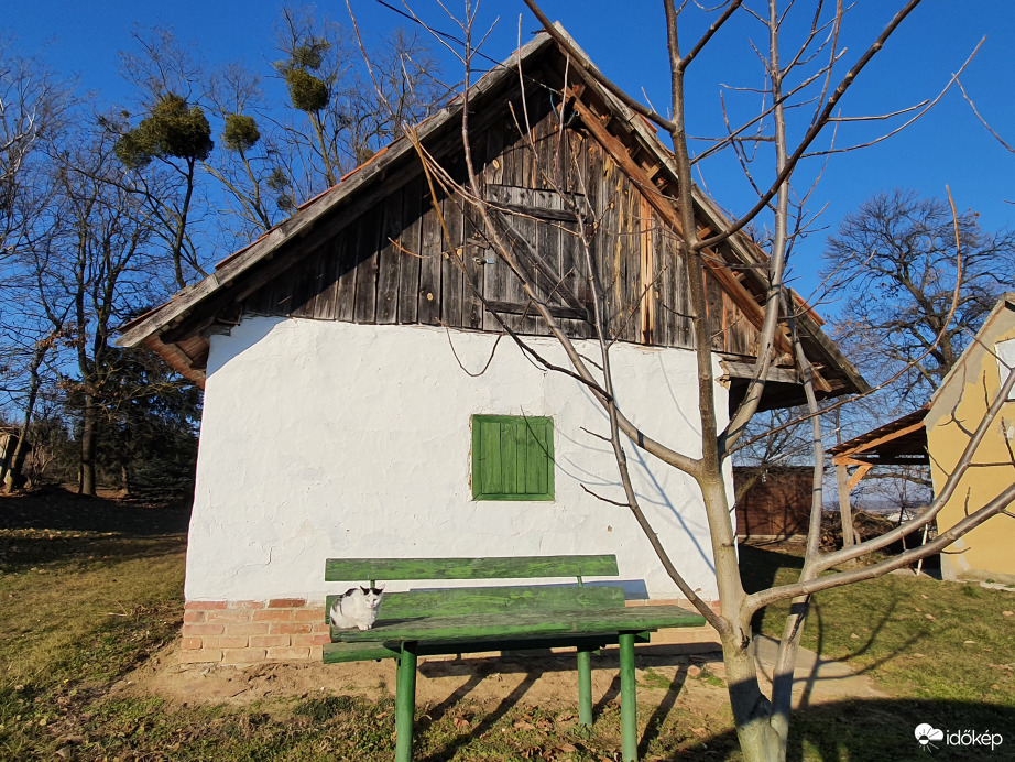 Hangulatos göcseji pince napozó cicussal