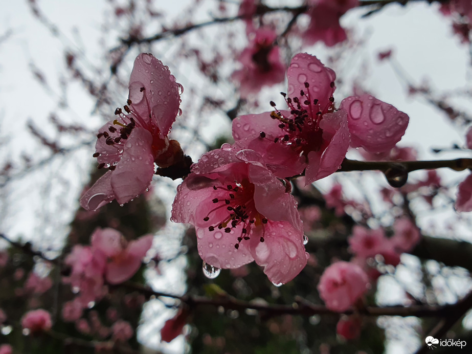 Nagylengyel...végre esik :)