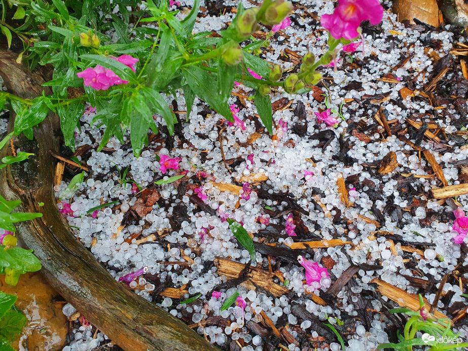 Nagylengyeli (jég)virágos kert :(