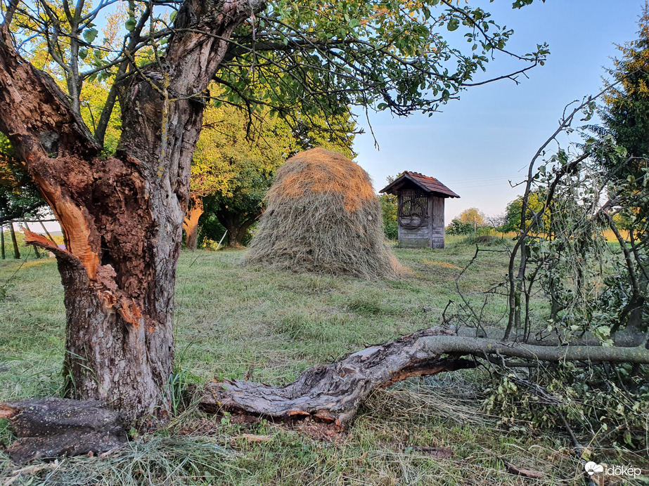 Göcseji hangulat...