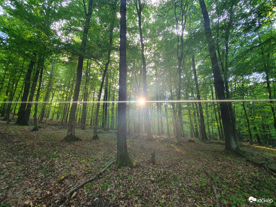 Erdei vízmérték napsugár módra
