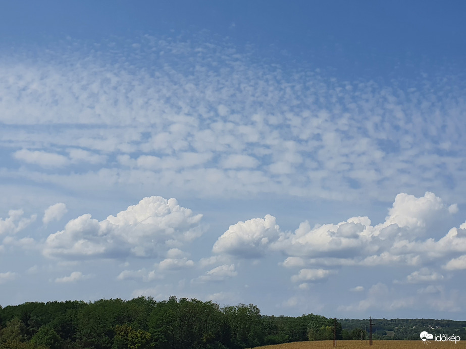 Délutáni birkabunda a habcsókok felett