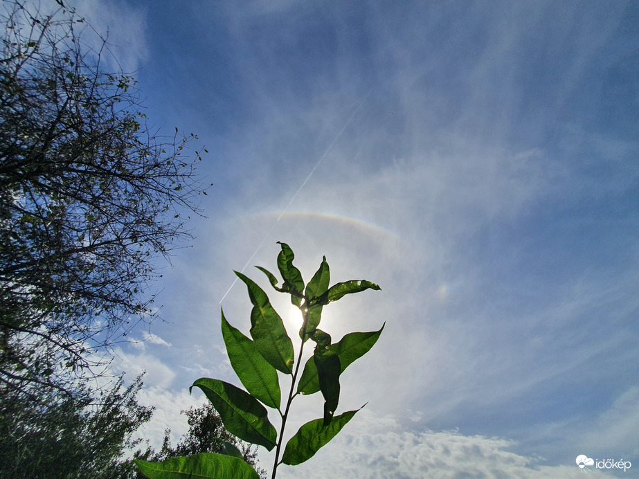 Nem lehet betelni vele ❤️