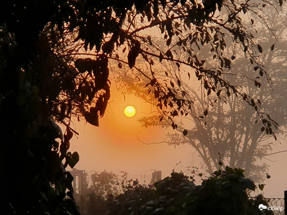 Kapuból visszanézve...